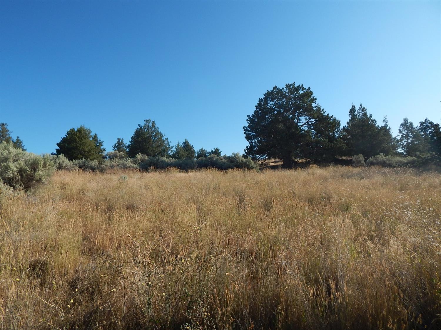 3 Dodds Hollow Road Merrill, OR 97633 - Photo 5 of 7 Additional Photo