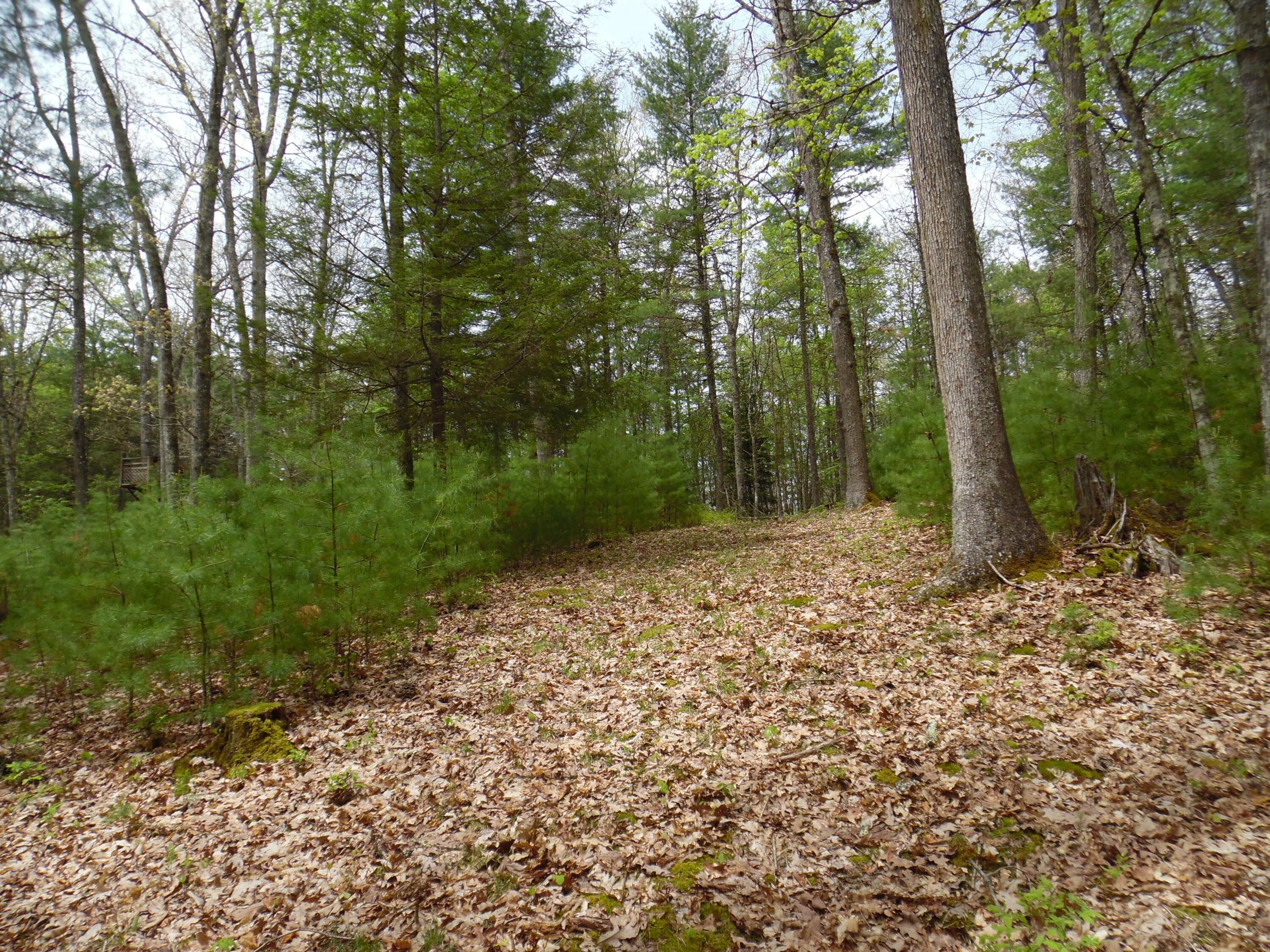 5210 Wesley Chapel Road Green Bank, WV 24944 - Photo 62 of 93 Gallery Image 62
