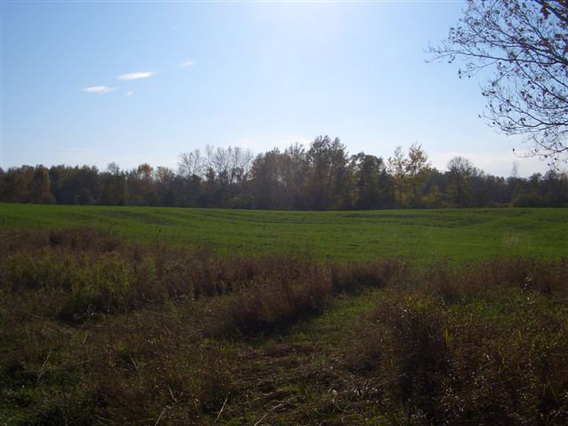 - Hornspier Road Sturgeon Bay, WI 54235 - Photo 1 of 1 Main View