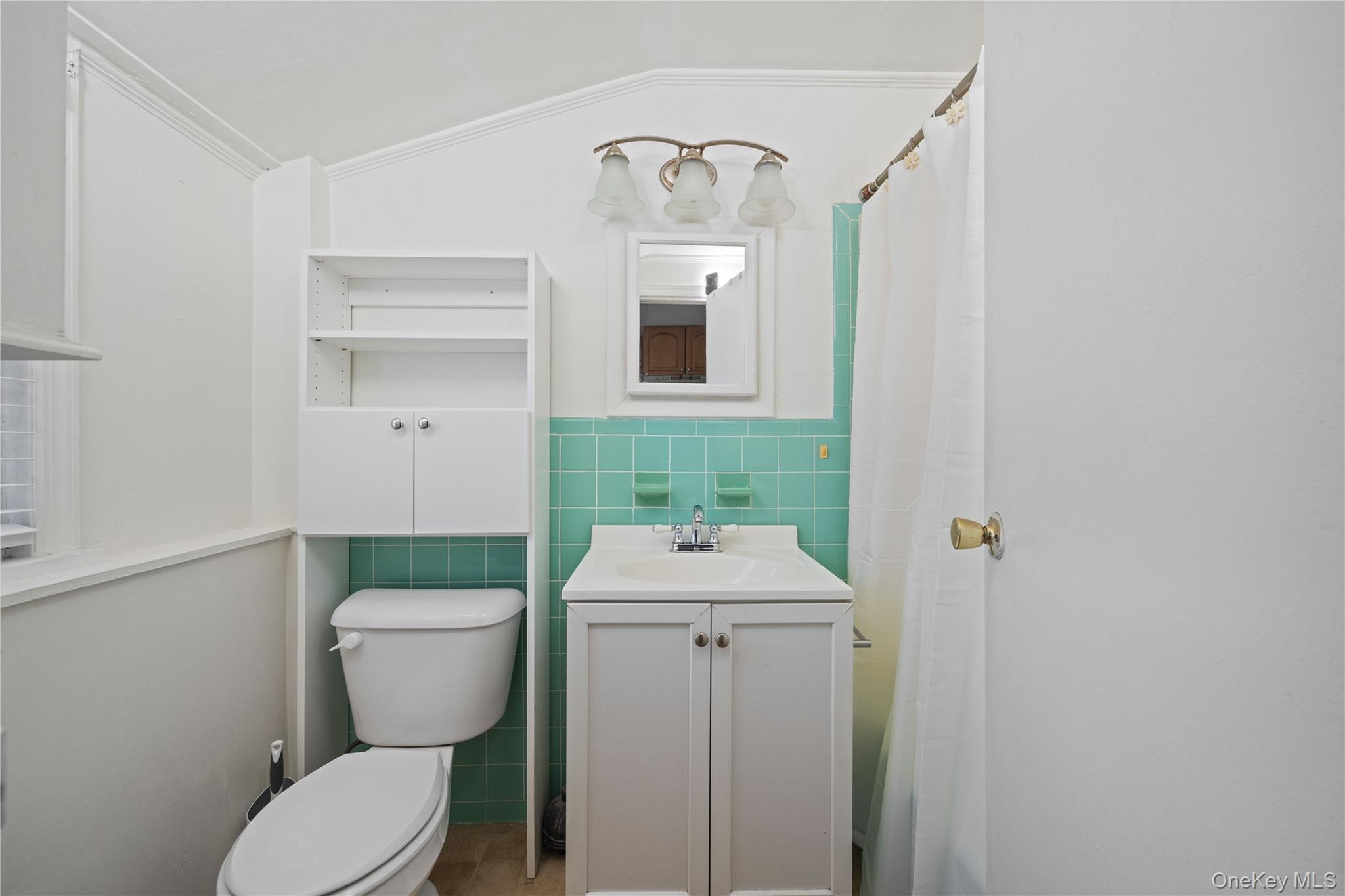 96 Warwick Road Island Park, NY 11558 - Photo 9 of 13 a bathroom with a sink mirror vanity and toilet