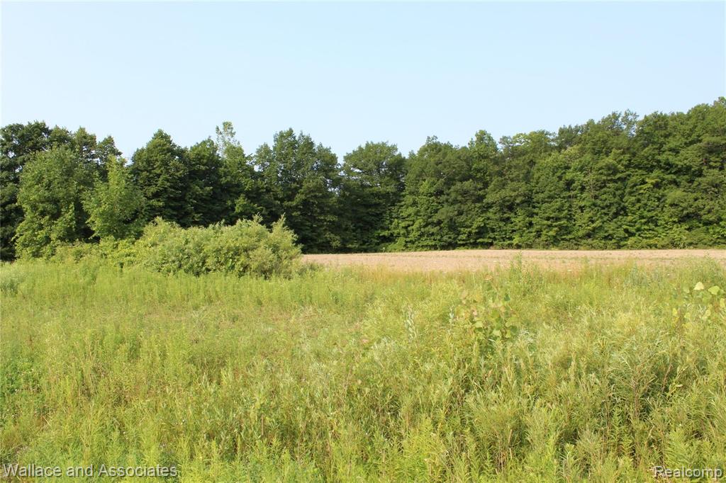 Lot 4 McIntyre Road North Street, MI 48049 - Photo 11 of 14