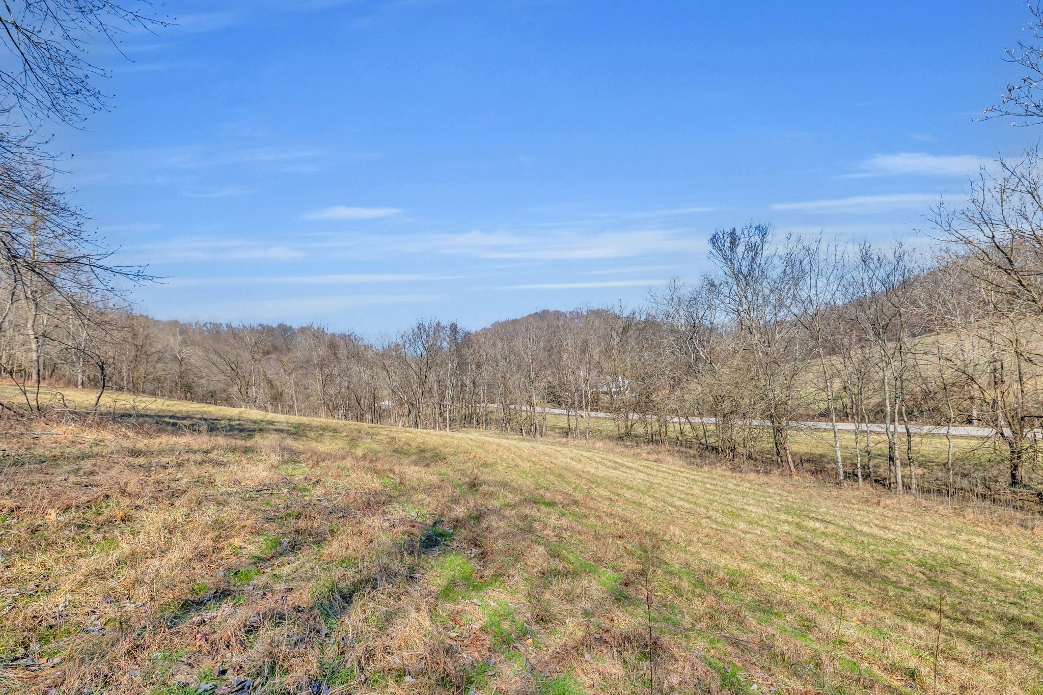 3153 Blazer Road Franklin, TN 37064 - Photo 3 of 14 Gallery Image 3