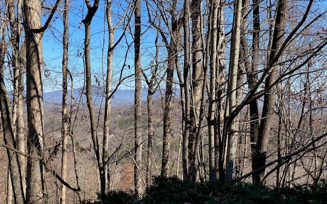 3 Sunrock Mountain Trace Blue Ridge, GA 30513 - Photo 10 of 10 Additional View