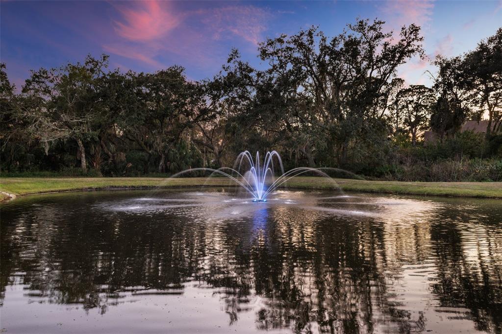 12305 Twin Branch Acres Road Tampa, FL 33626 - Photo 30 of 66 a water view of water with a yard