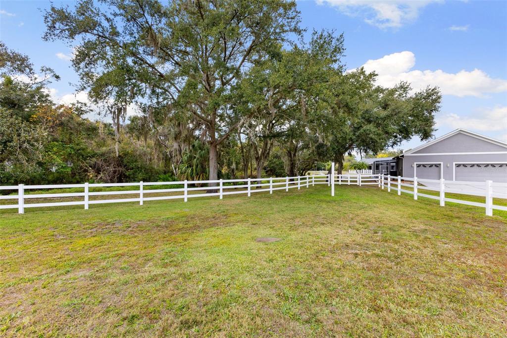 12305 Twin Branch Acres Road Tampa, FL 33626 - Photo 48 of 60