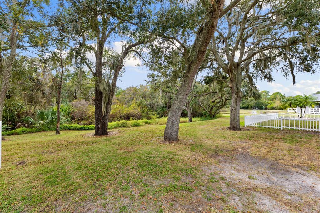 12305 Twin Branch Acres Road Tampa, FL 33626 - Photo 50 of 60