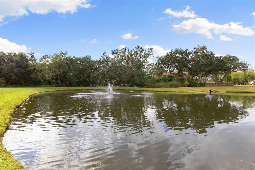 12305 Twin Branch Acres Road Tampa, FL 33626 - Photo 50 of 66 a view of a lake with houses in the background