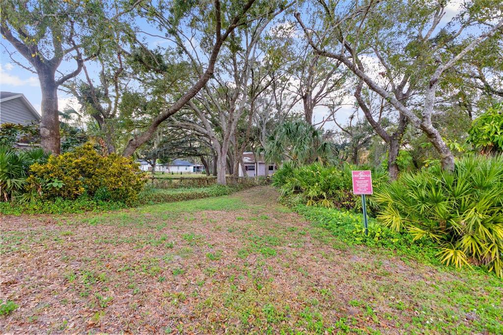 12305 Twin Branch Acres Road Tampa, FL 33626 - Photo 53 of 60 a view of a tree in front of a house