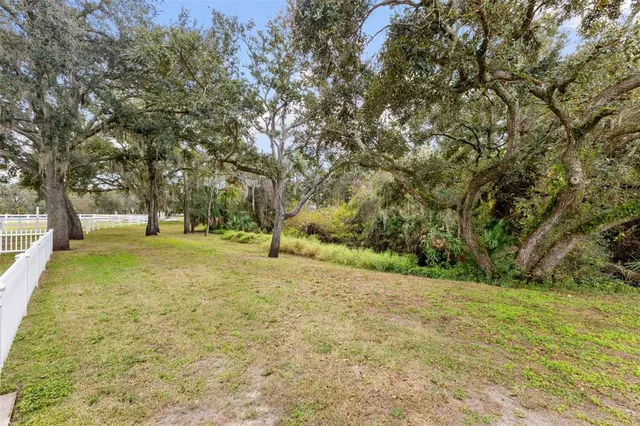 $969,950 | 12305 Twin Branch Acres Road, Tampa, FL 33626
