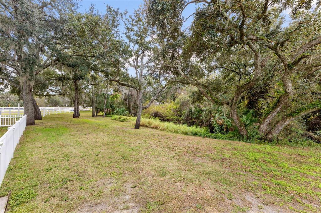 12305 Twin Branch Acres Road Tampa, FL 33626 - Photo 55 of 66 a view of yard with trees