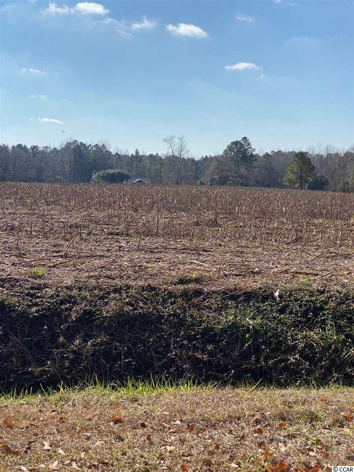1720 Log Cabin Road Loris, SC 29569 - Photo 1 of 6