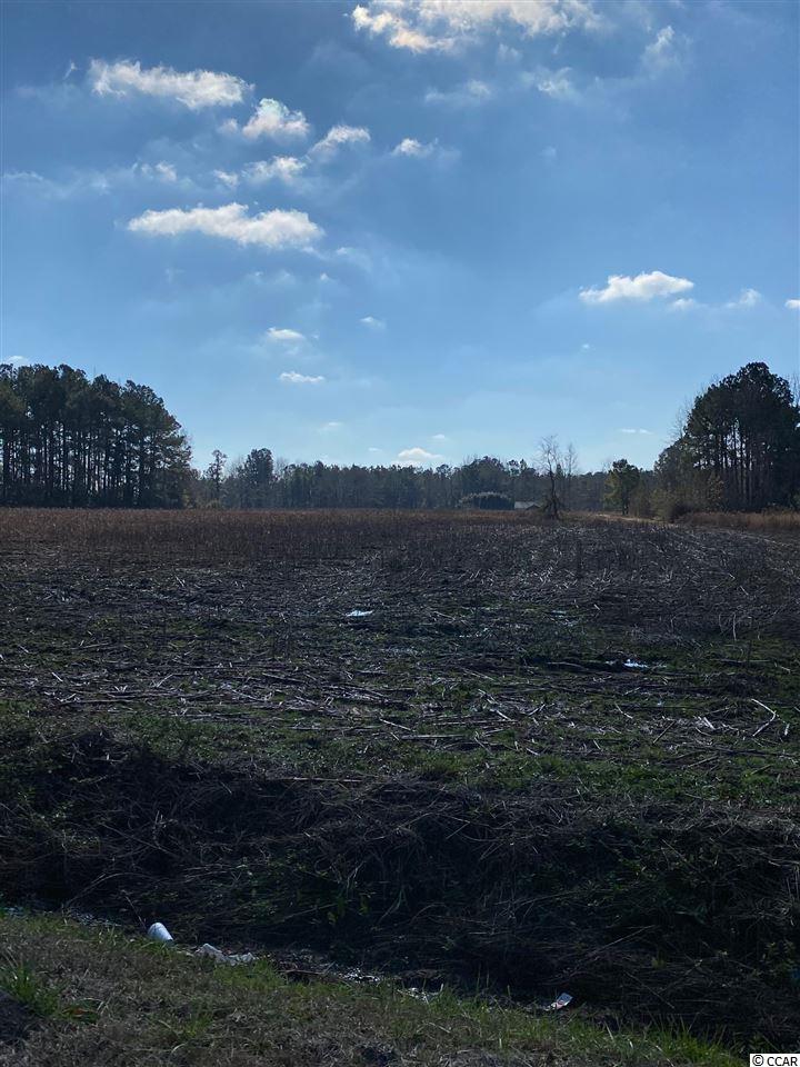 1720 Log Cabin Road Loris, SC 29569 - Photo 3 of 6