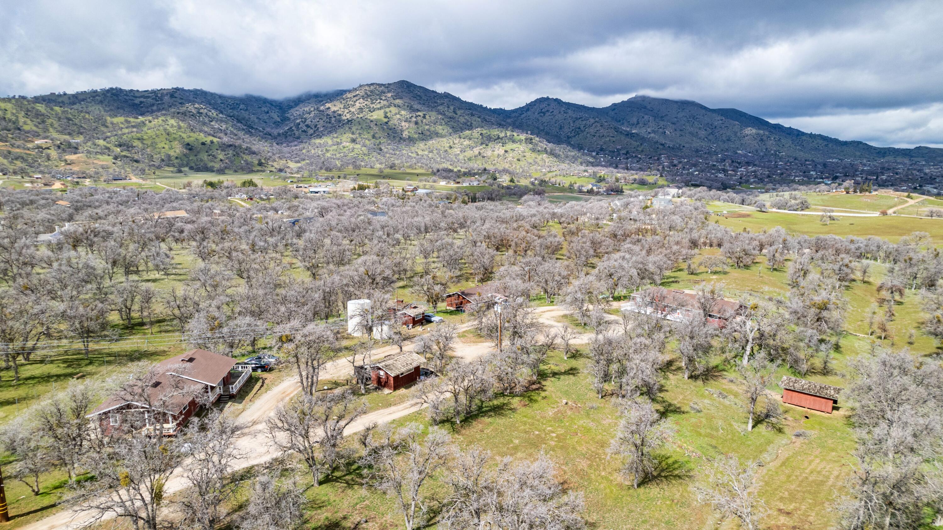 20839 Highway 202 Tehachapi, CA 93561 - Photo 3 of 4 a view of a houses with a yard