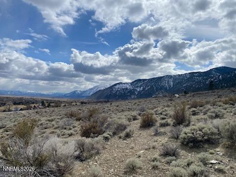 301 Adams Ranch, Unit 38 Genoa, NV 89411 - Photo 10 of 20 IMG_5633_1786486295546