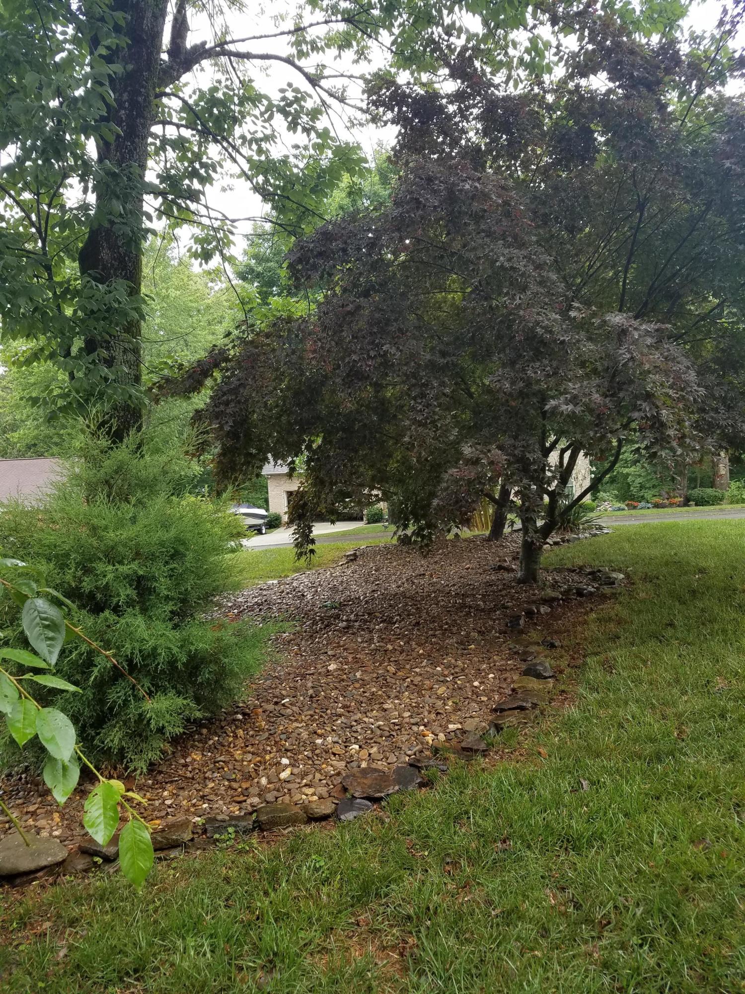 107 West Melbourne Road Oak Ridge, TN 37830 - Photo 19 of 26 20190607_141548