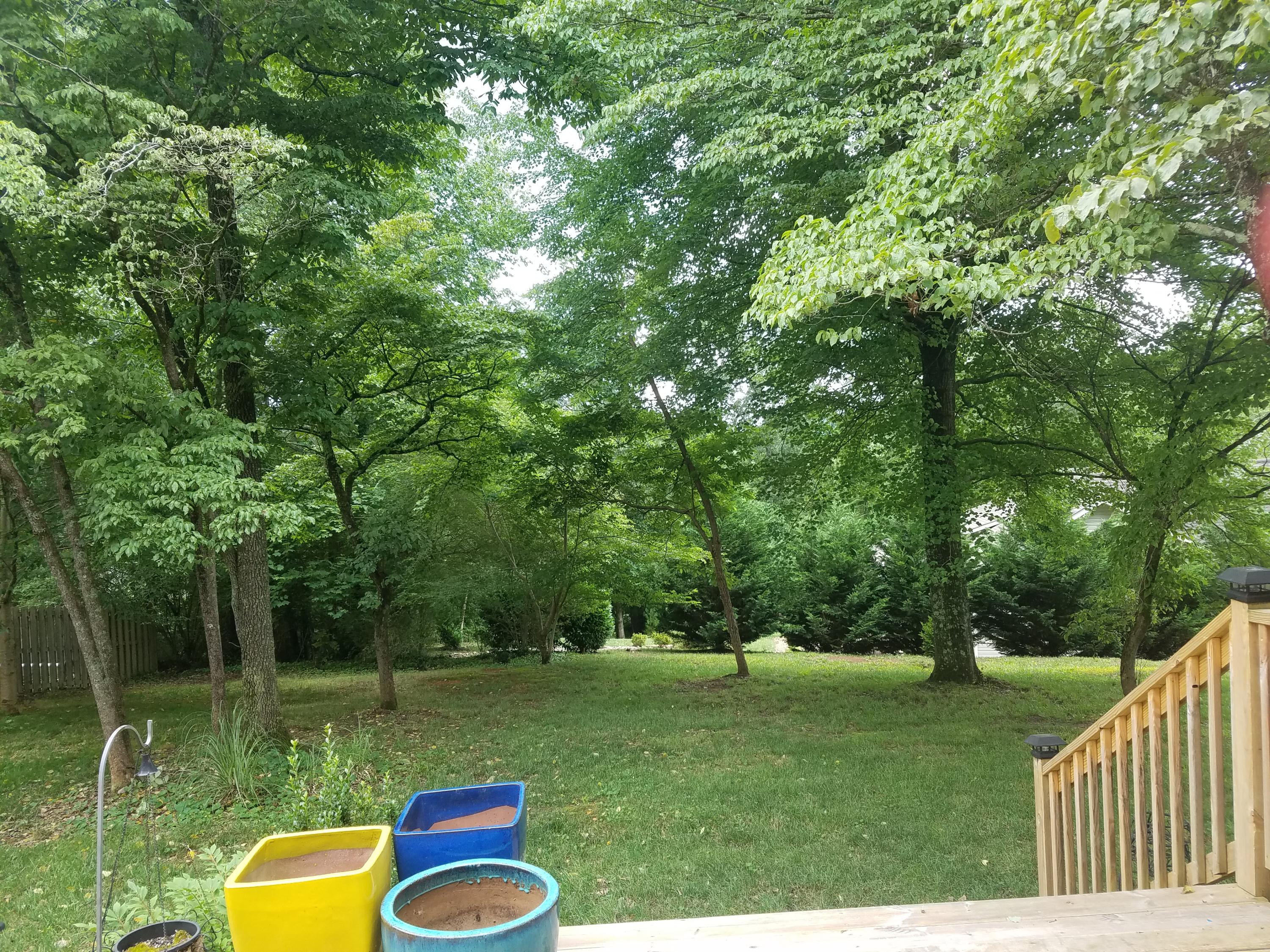 107 West Melbourne Road Oak Ridge, TN 37830 - Photo 24 of 26 20190610_130104