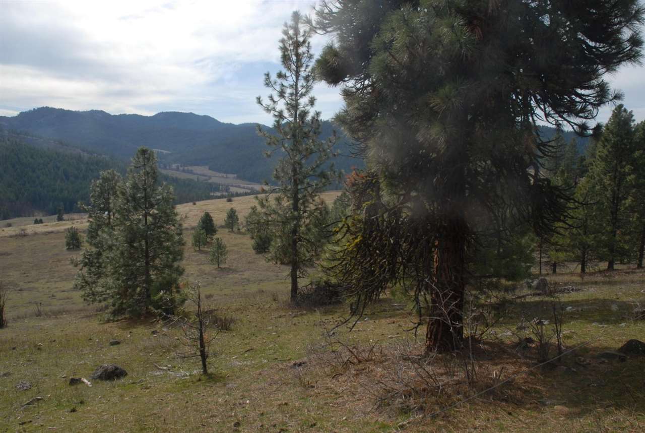Parcel C Breckenridge Road Rice, WA 99167 - Photo 1 of 15