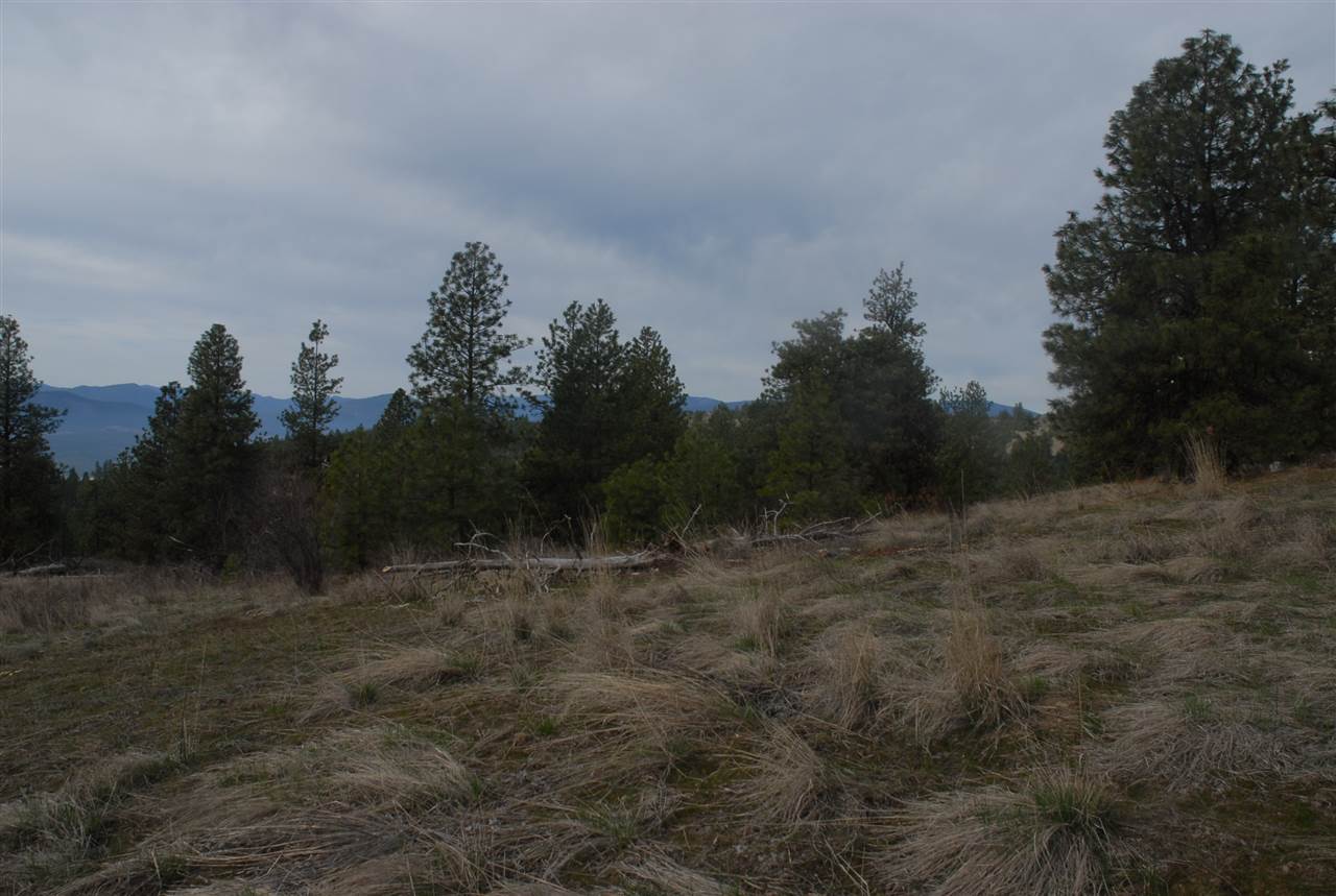 Parcel C Breckenridge Road Rice, WA 99167 - Photo 2 of 15