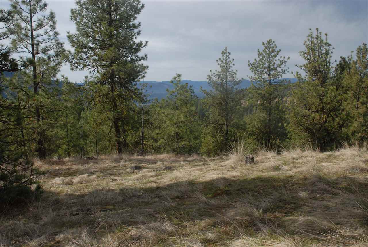 Parcel C Breckenridge Road Rice, WA 99167 - Photo 11 of 15