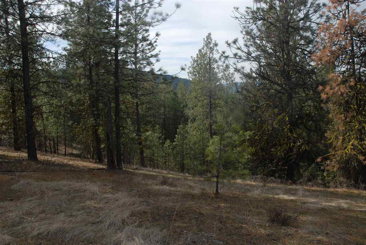 Parcel C Breckenridge Road Rice, WA 99167 - Photo 12 of 15