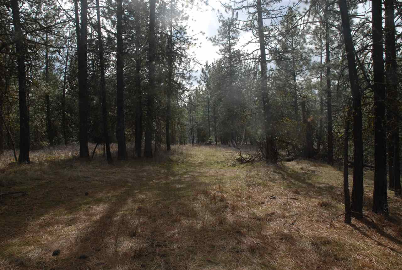Parcel C Breckenridge Road Rice, WA 99167 - Photo 13 of 15
