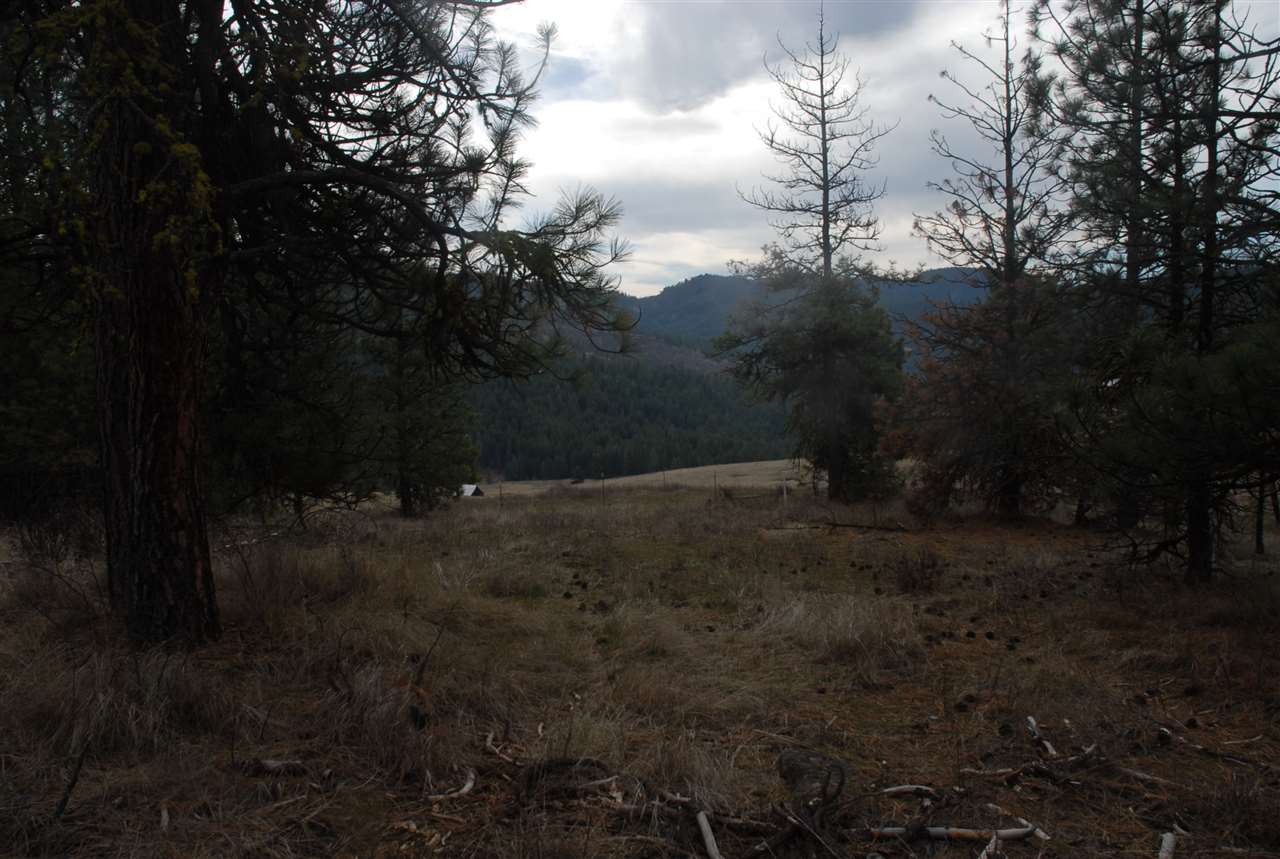 Parcel C Breckenridge Road Rice, WA 99167 - Photo 14 of 15