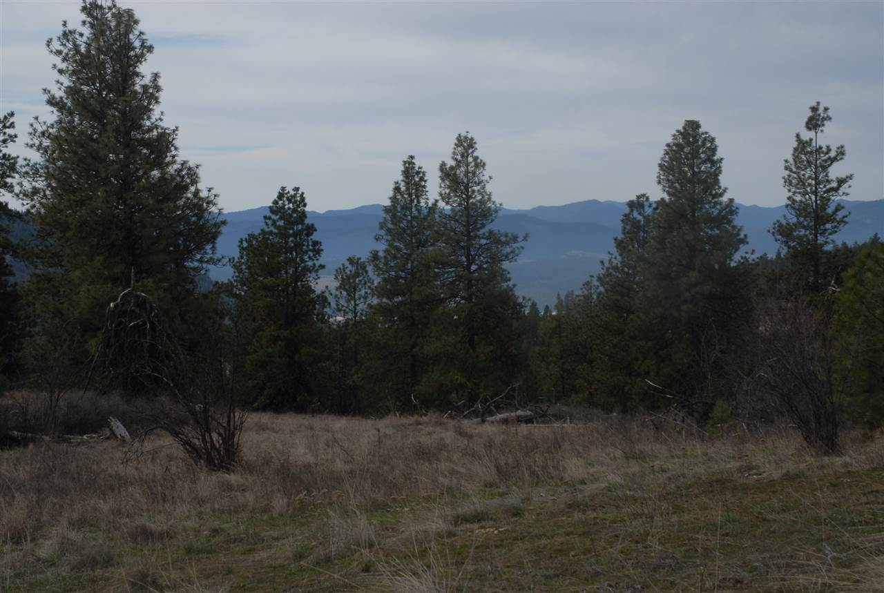Parcel C Breckenridge Road Rice, WA 99167 - Photo 15 of 15