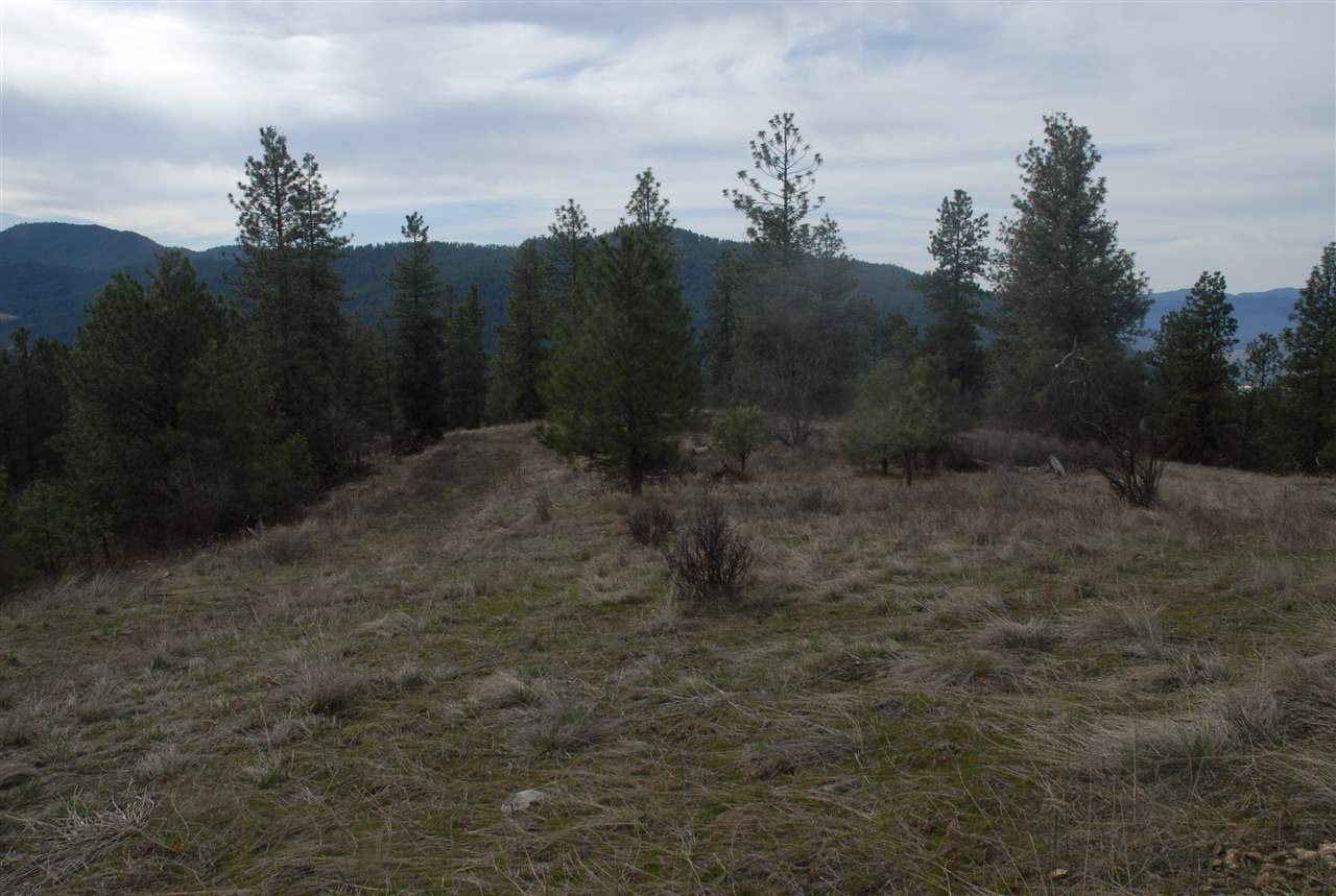 Parcel C Breckenridge Road Rice, WA 99167 - Photo 3 of 15