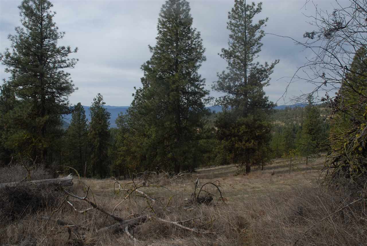 Parcel C Breckenridge Road Rice, WA 99167 - Photo 4 of 15