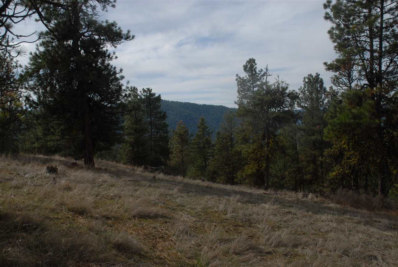 Parcel C Breckenridge Road Rice, WA 99167 - Photo 5 of 15