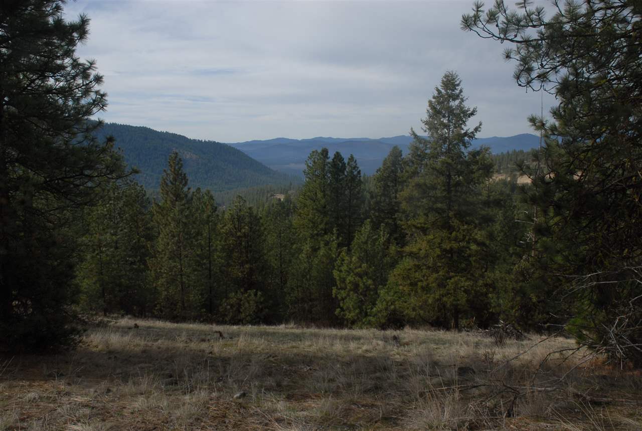 Parcel C Breckenridge Road Rice, WA 99167 - Photo 8 of 15