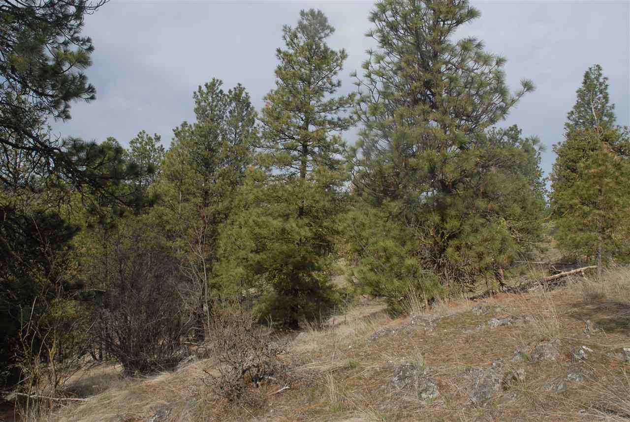 Parcel C Breckenridge Road Rice, WA 99167 - Photo 9 of 15