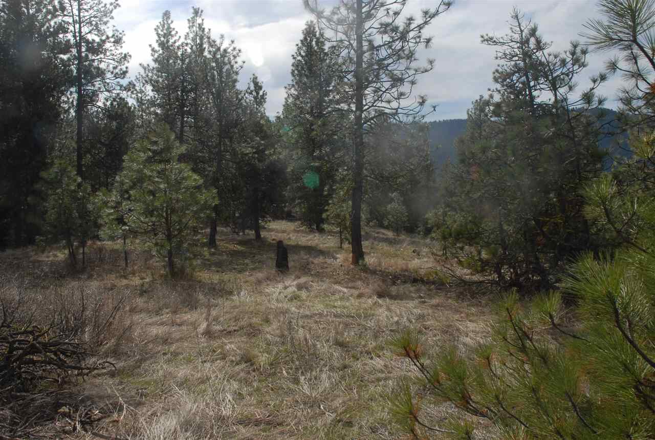 Parcel C Breckenridge Road Rice, WA 99167 - Photo 10 of 15