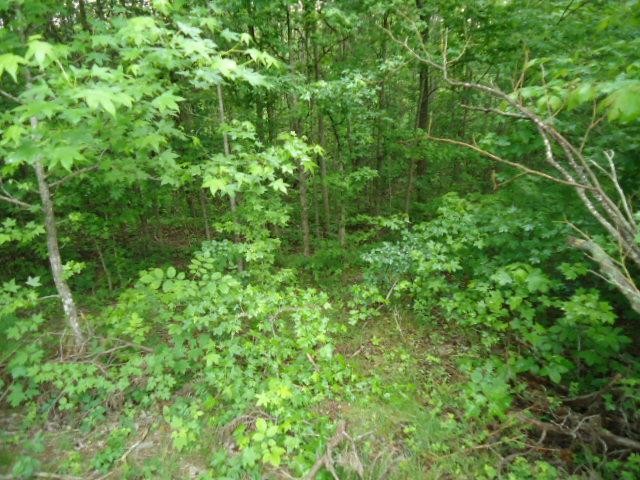 7 92 Star Point Road Celina, TN 38551 - Photo 2 of 22 Gallery Image 2