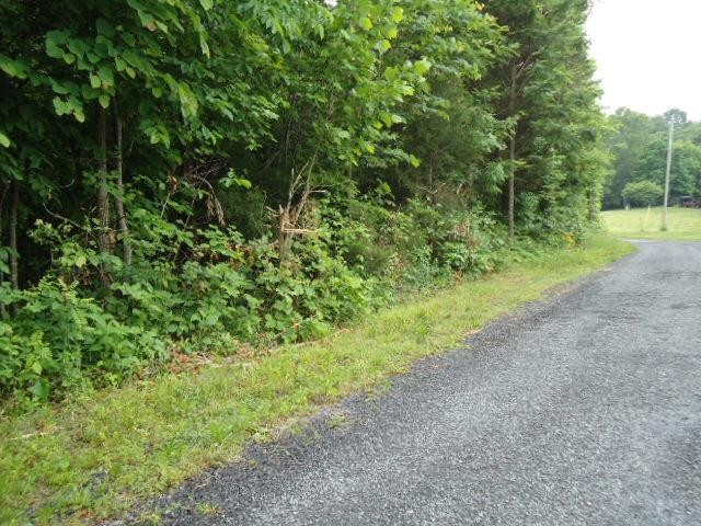 7 92 Star Point Road Celina, TN 38551 - Photo 17 of 22 Gallery Image 17