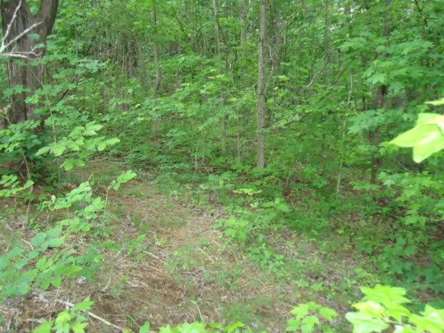 7 92 Star Point Road Celina, TN 38551 - Photo 3 of 22 Gallery Image 3