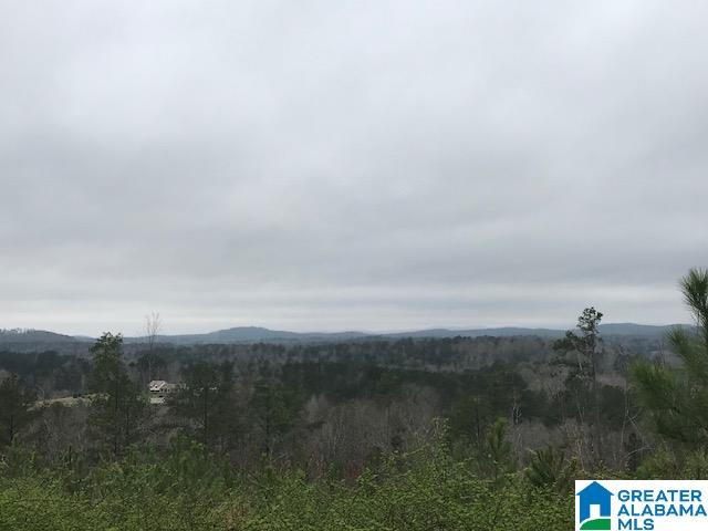 57 Peace Road Piedmont, AL 36272 - Photo 22 of 22