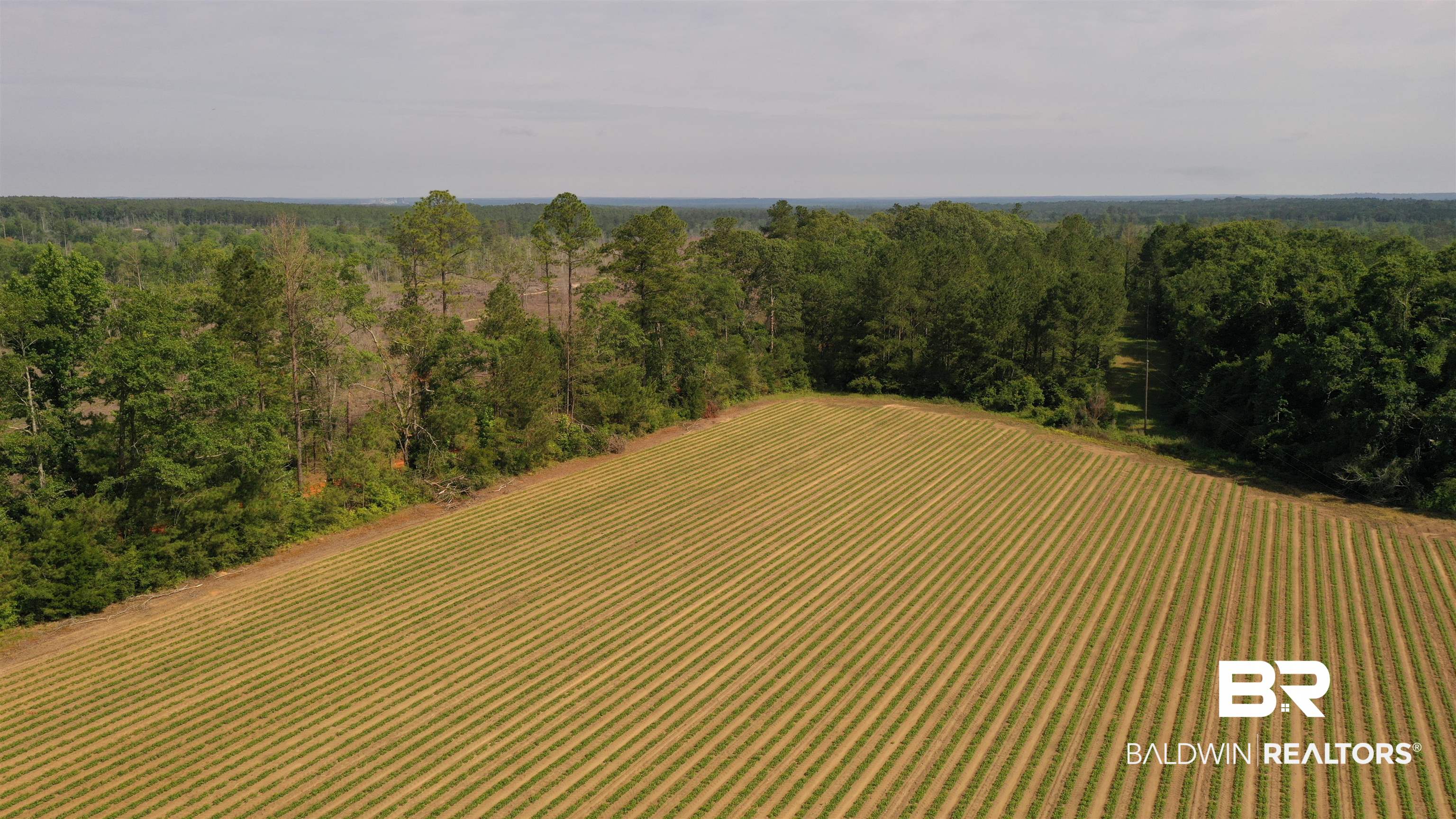 6 Travis Road Brewton, AL 36426 - Photo 1 of 22