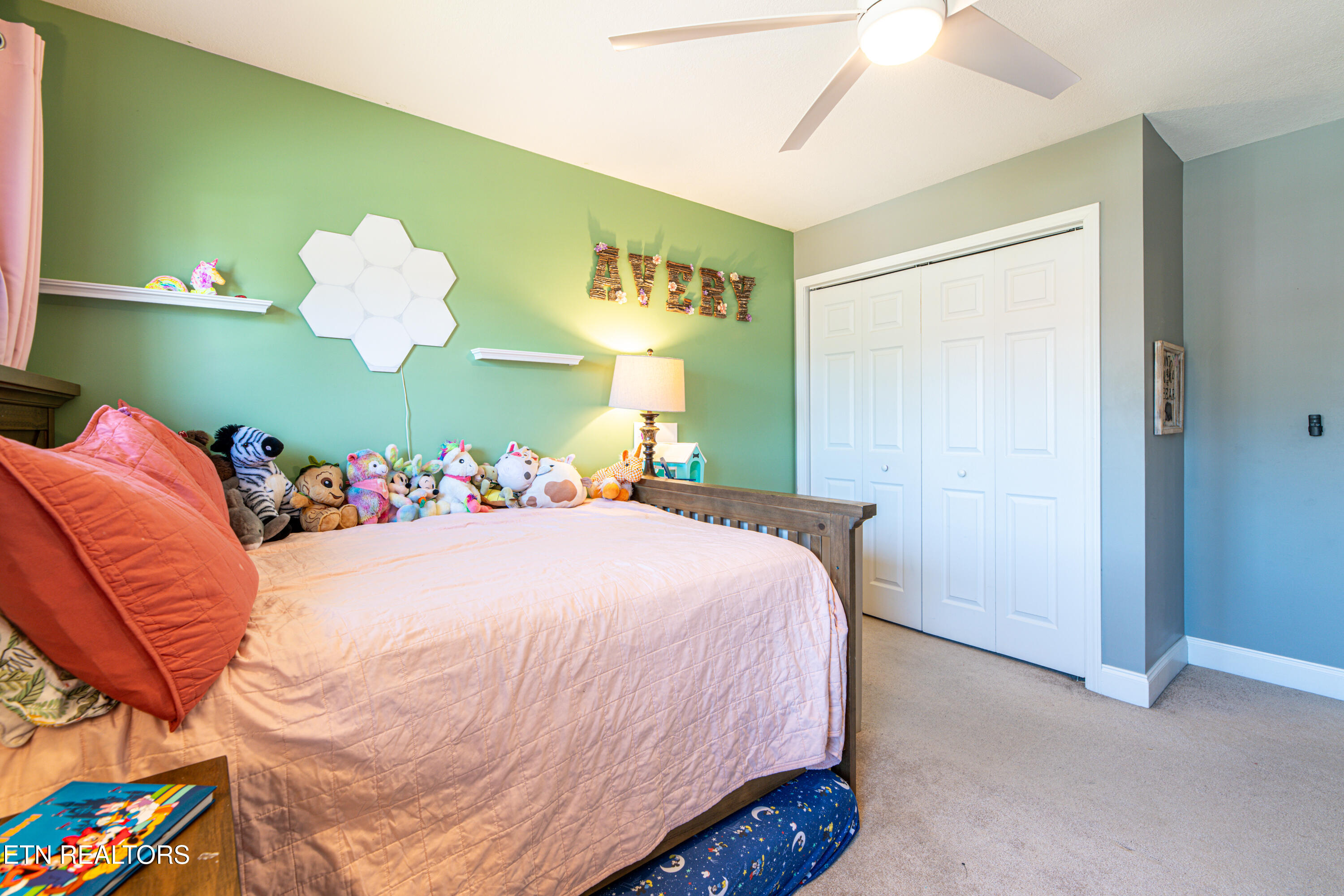 924 Crown Ridge Ln, Powell, TN 37849 - Photo 31 of 39 924 Crown Ridge Lane-27