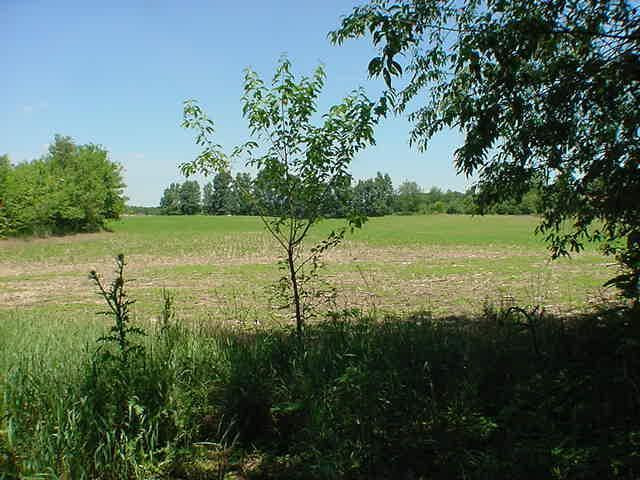 15650 Below Road Grass Lake, MI 49240 - Photo 5 of 23 Photo 5