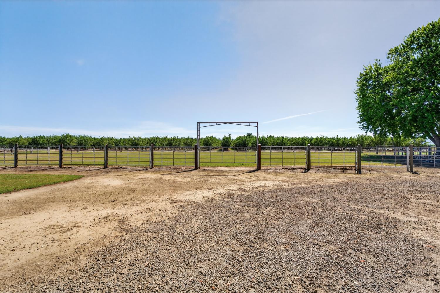 2450 George Road Williams, CA 95987 - Photo 41 of 43 a view of a road with a big yard