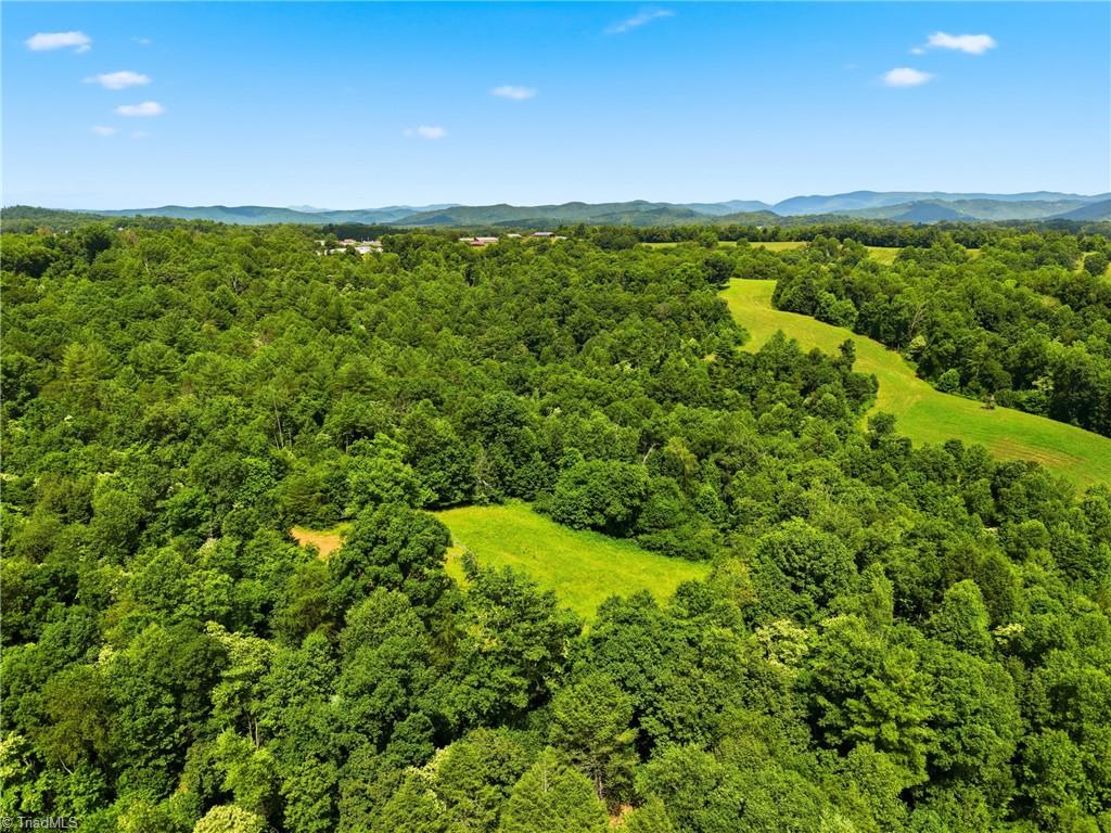Tbd Harris Road Wilkesboro, NC 28697 - Photo 12 of 25