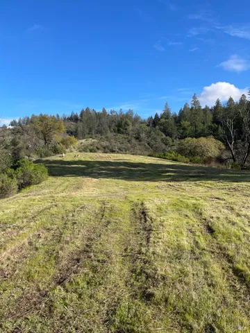 a view of yard and mountain view
