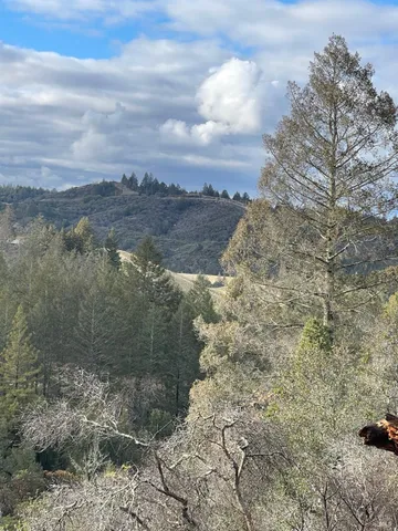 a view of a yard next to a building