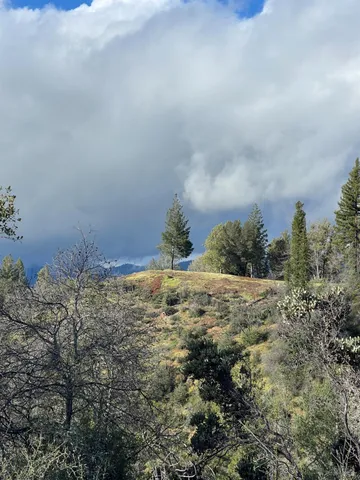a view of a field with trees in the background