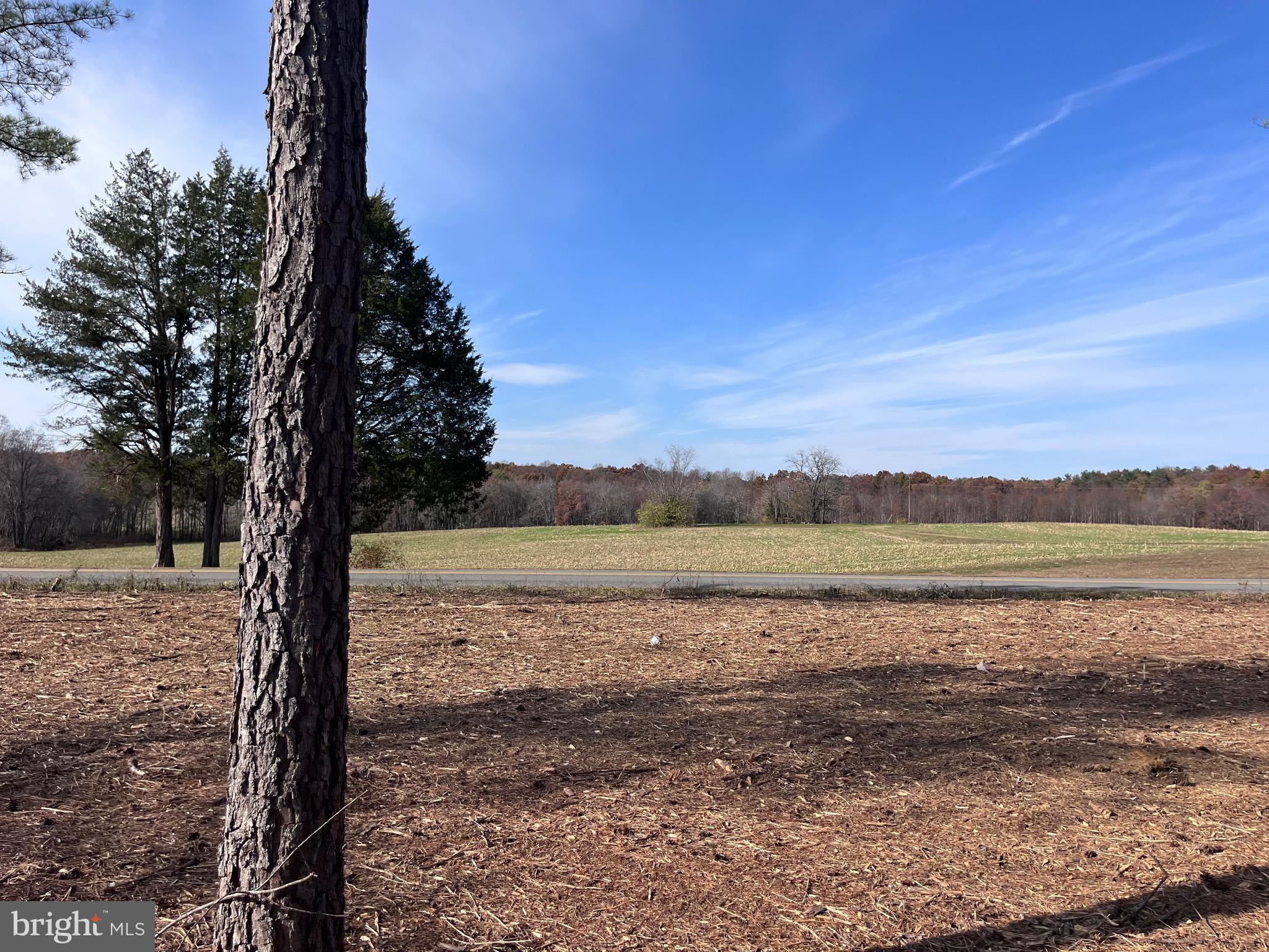 3 Lawyers Road Spotsylvania, VA 22551 - Photo 5 of 15