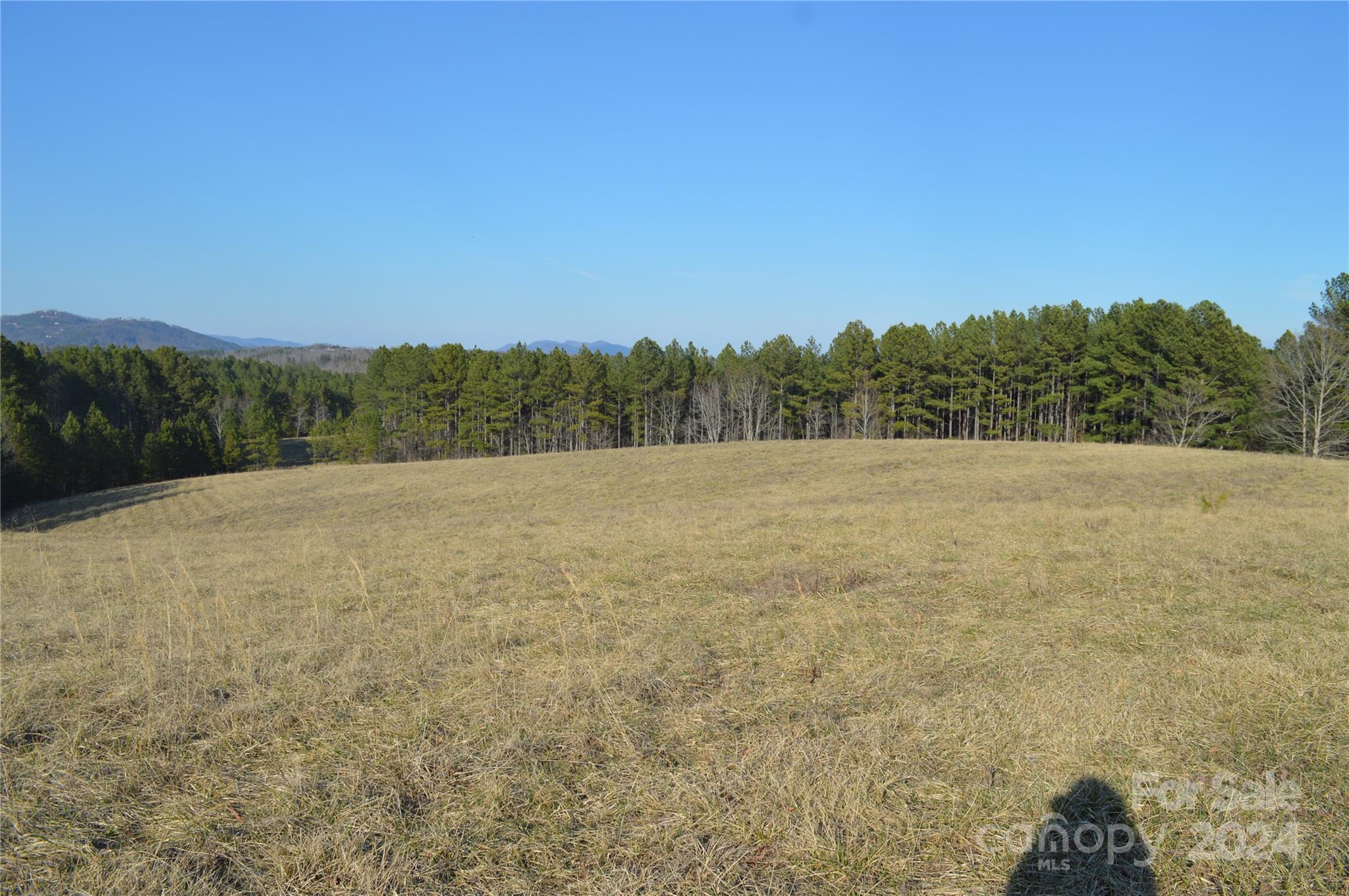 0 Maggie Pye Ln Mill Spring, Unit 7 Mill Spring, NC 28756 - Photo 5 of 8 a view of a field with a tree in the background