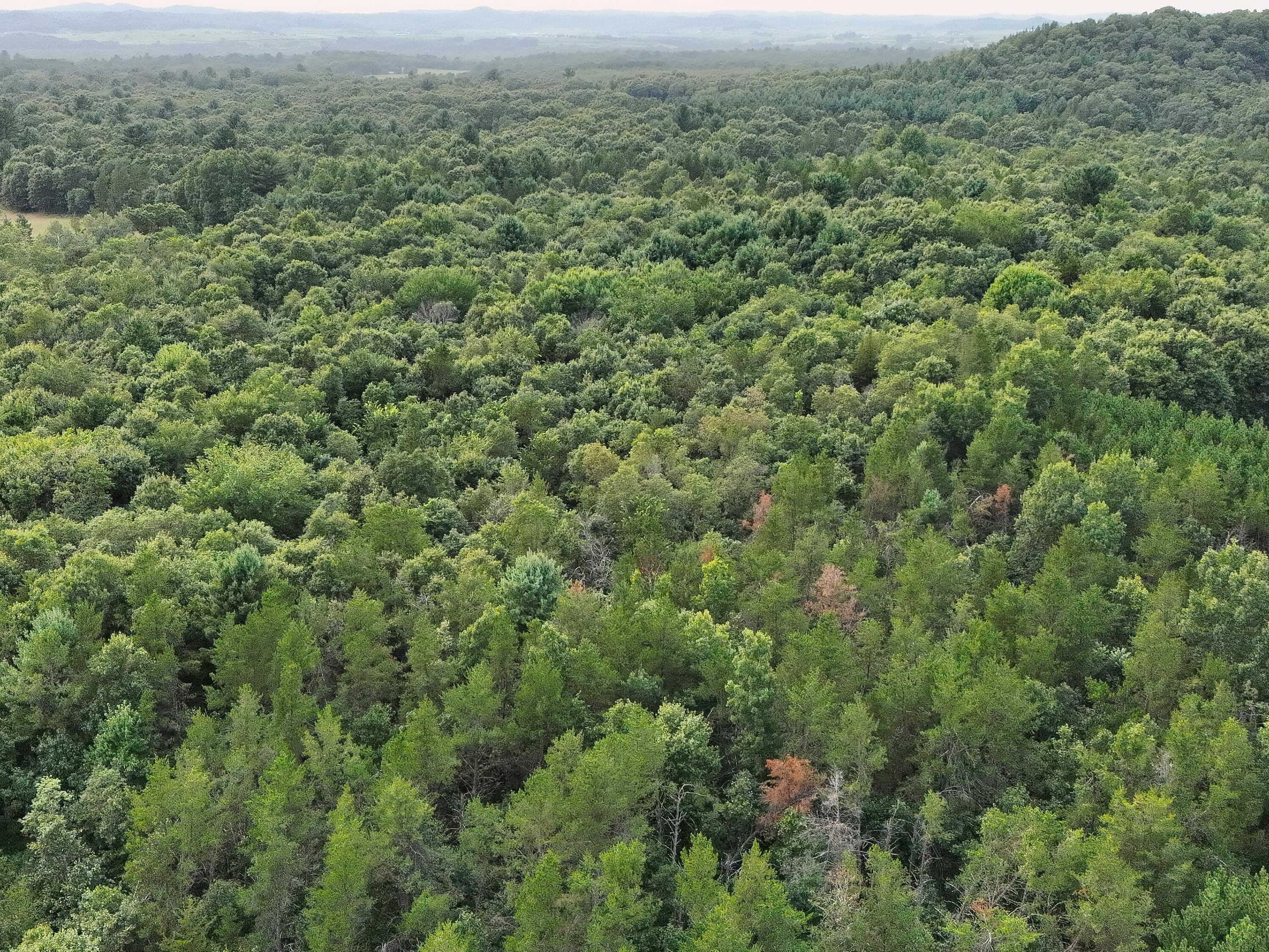 0 Cambridge Road Sparta, WI 54656 - Photo 25 of 63 DJI_20260811012751_0042_V