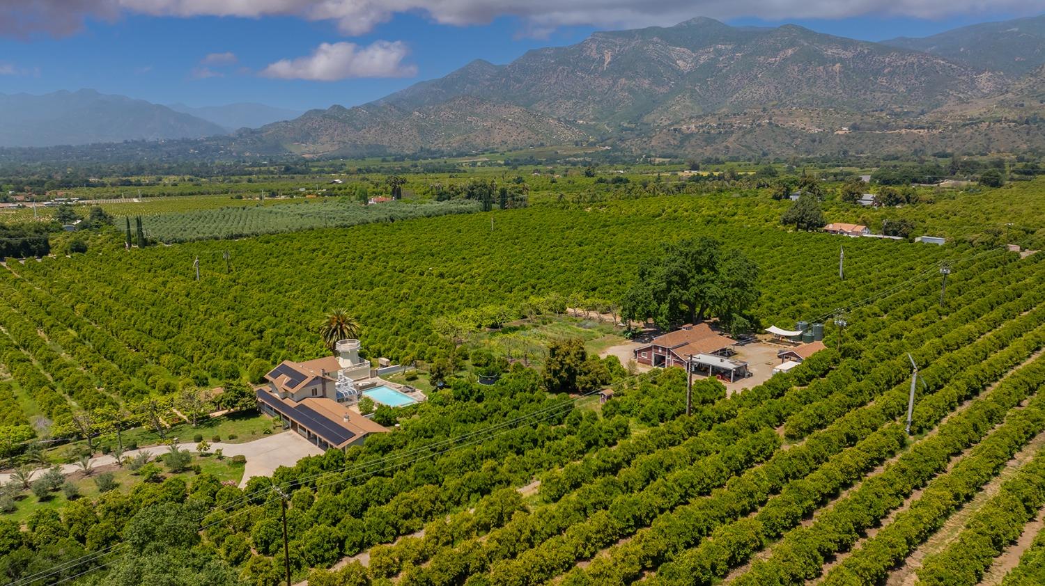 3359 Reeves Road Ojai, CA 93023 - Photo 13 of 42 a view of a lush green hillside and houses