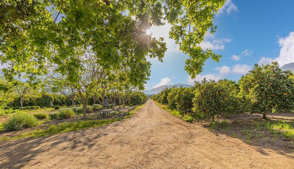 3359 Reeves Road Ojai, CA 93023 - Photo 18 of 42 a view of a yard with a tree